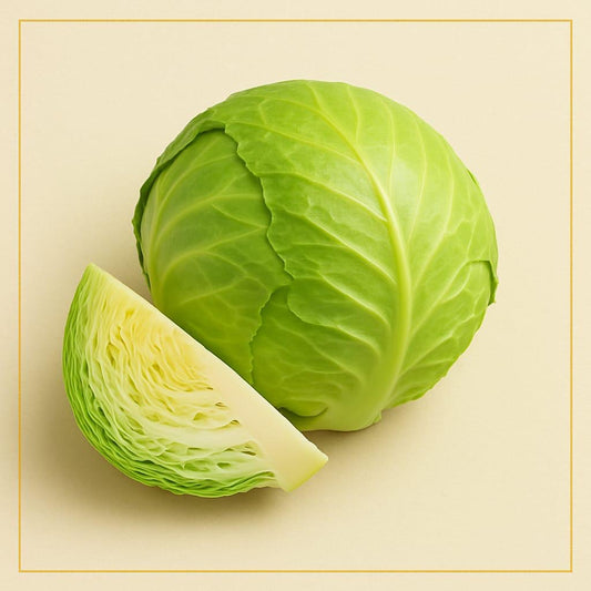 Fresh Cabbage