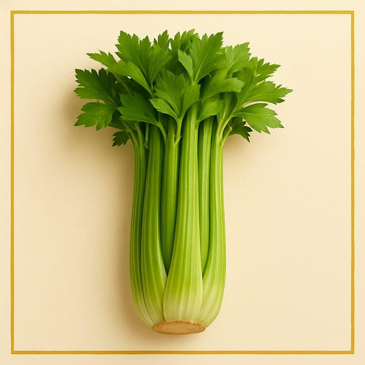 Fresh Celery